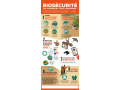Roll'up BioSécurité